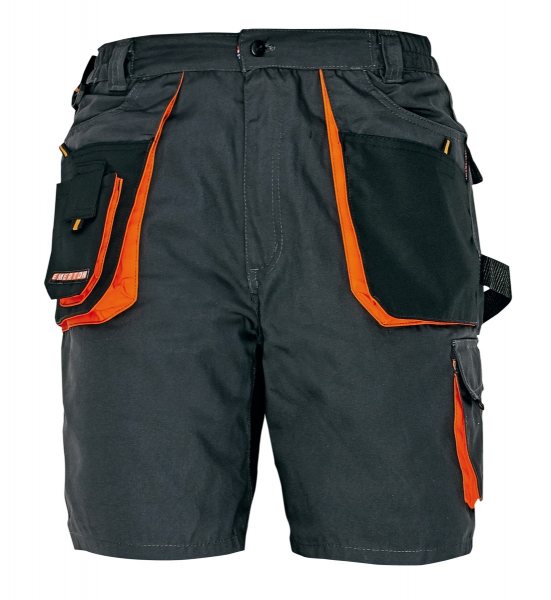 EMERTON shorts