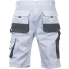 FF CARL BE-01-009 shorts