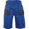 FF CARL BE-01-009 shorts