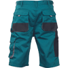 FF CARL BE-01-009 shorts