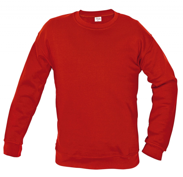 Men's sweatshirt Tours