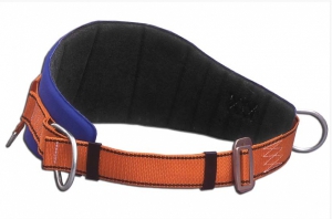 Safety waist belt Protekt PB-20 (DIDJ-DB20)