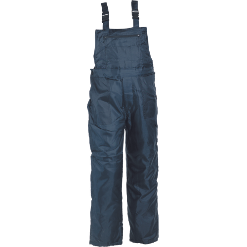 Men's winter warm overalls TITAN, blue